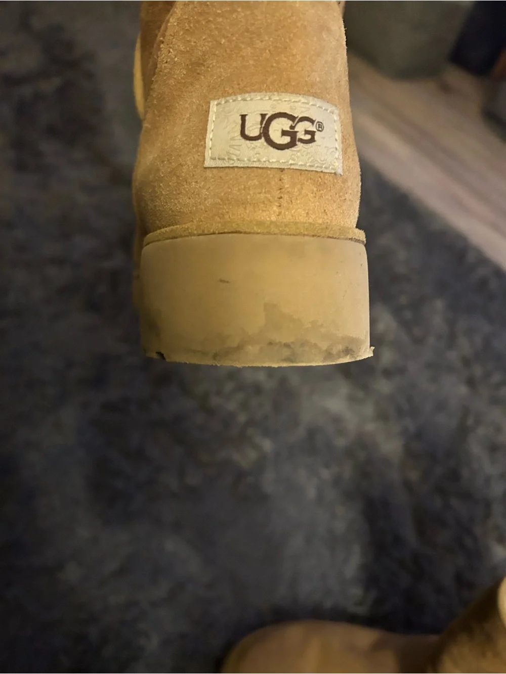 UGG Classic Short Wedge Boots in Chestnut Suede